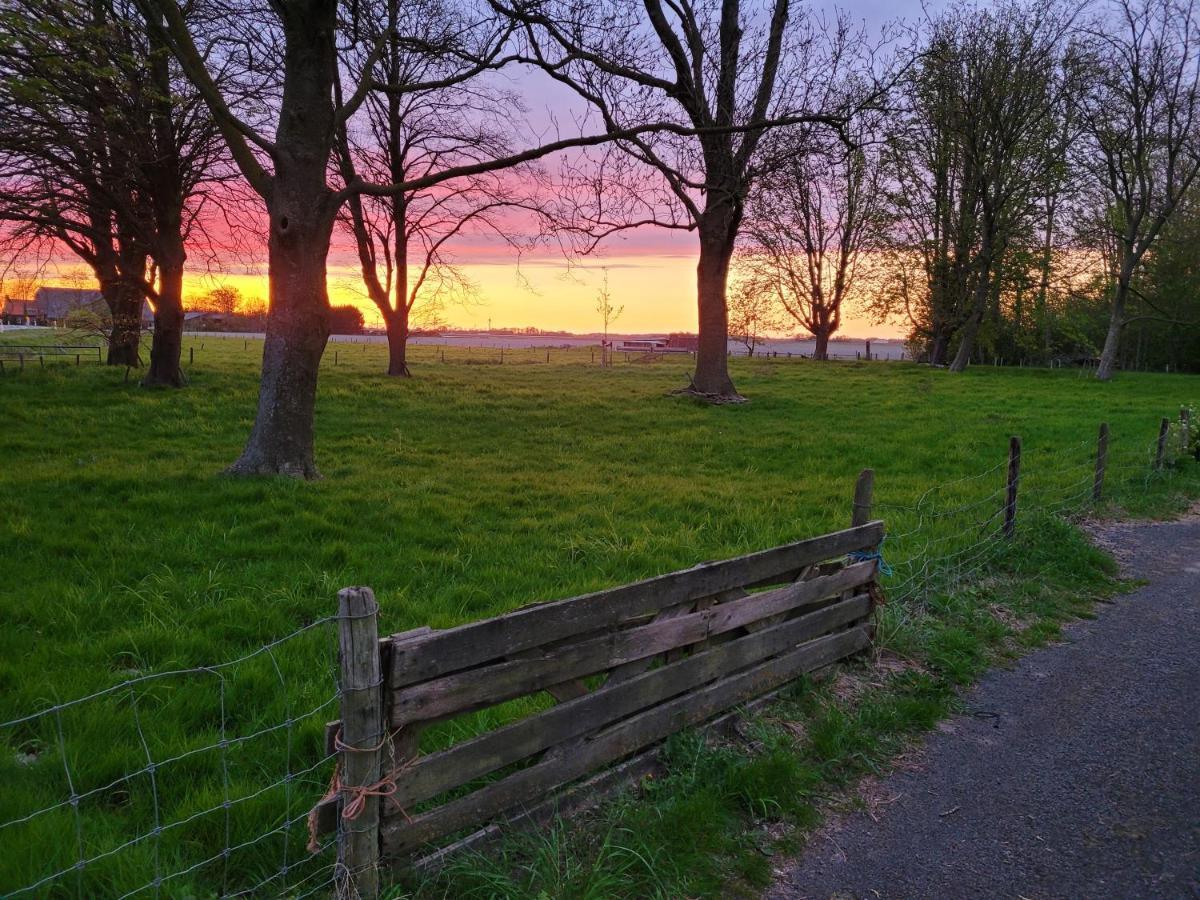 Vakantiehuis Aan Het Bos - Gelegen Aan De Tulpenroute Bant 외부 사진